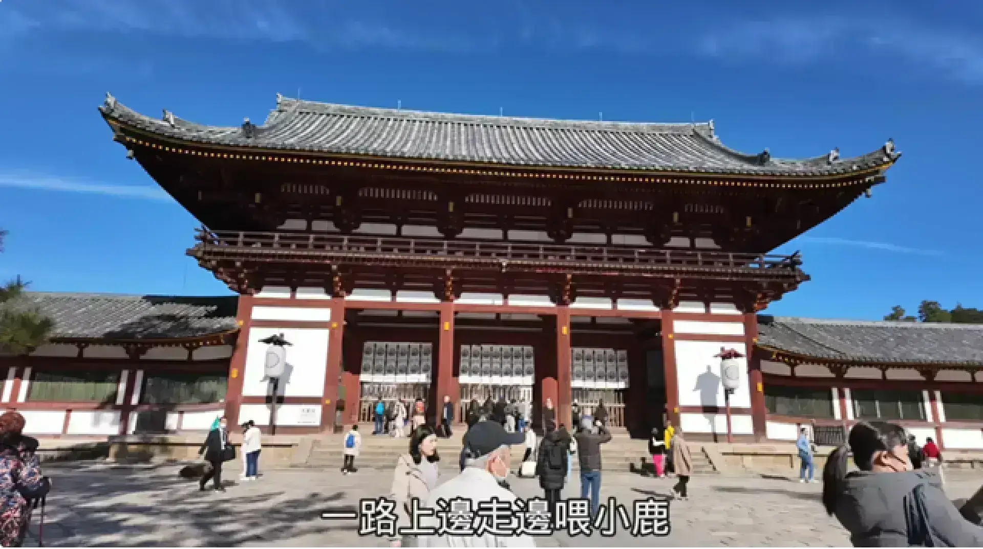 Nara Park 奈良公園