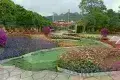 花溪公園