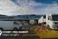 Sydney Fish Market