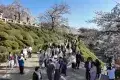 Kiyomizu-dera 清水寺
