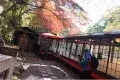 京都 高雄