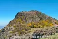 Arthur Seat 亞瑟王座