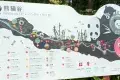 都江堰