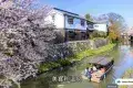 Lake Biwa 琵琶湖