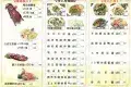 鮮味蒸滾鍋