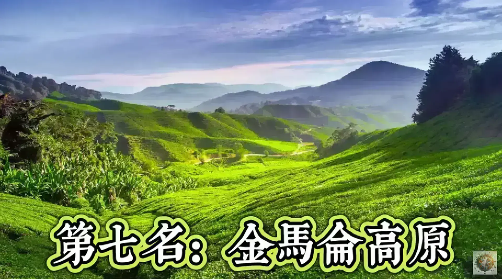 Cameron Highlands 金馬崙高原