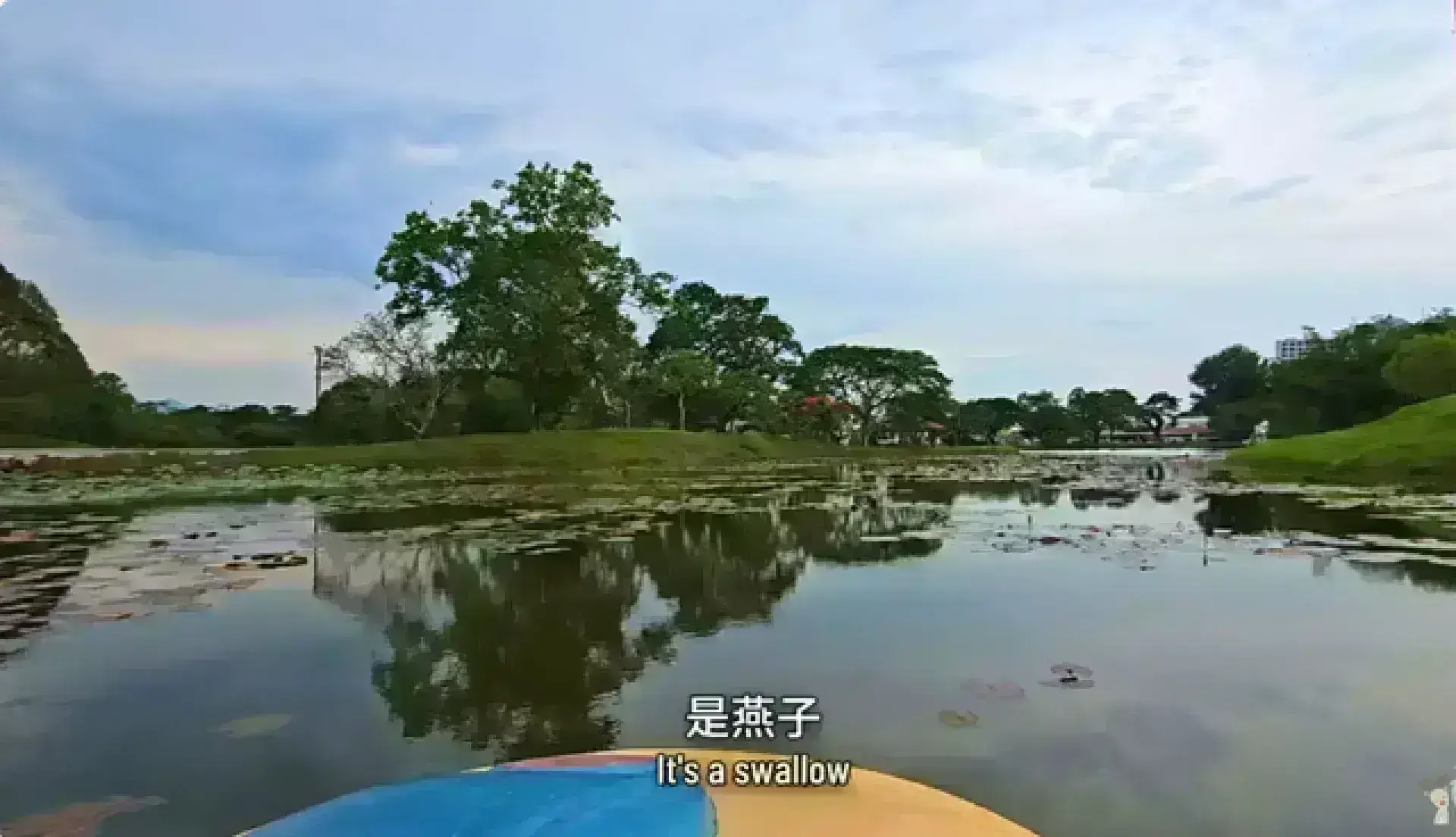 Taiping Lake Gardens 太平湖公園