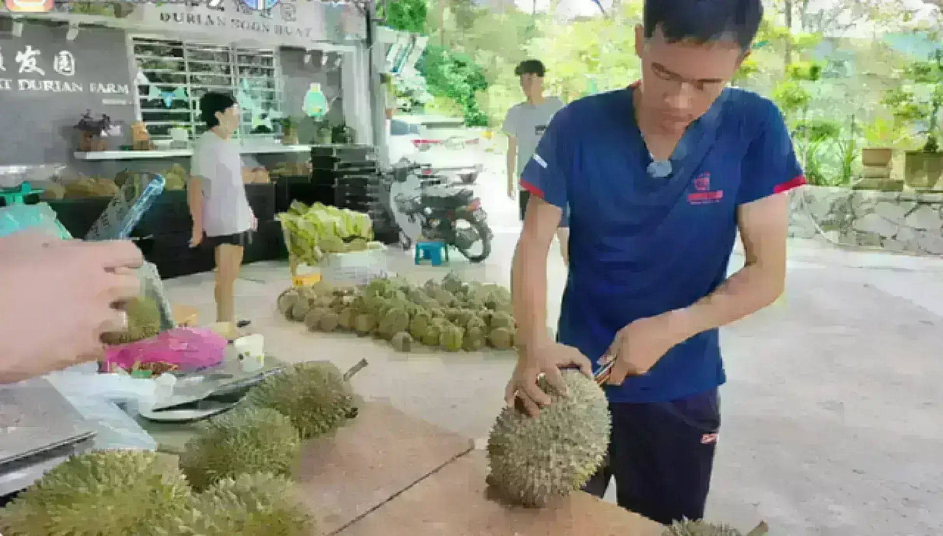 Durian Hill Penang 榴槤山